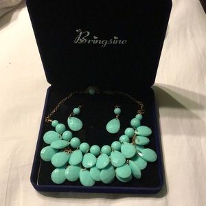 Matching Earrings and Statement Necklace